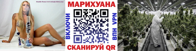 Каннабис AK-47  маркетплейс как зайти  Почеп  сколько стоит 